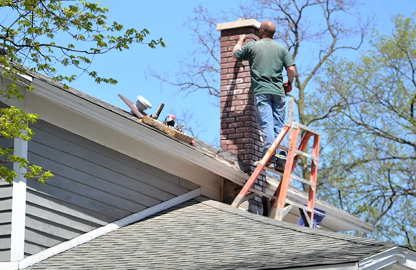 Chimney & Fireplace Inspections Services in Blue Island, IL